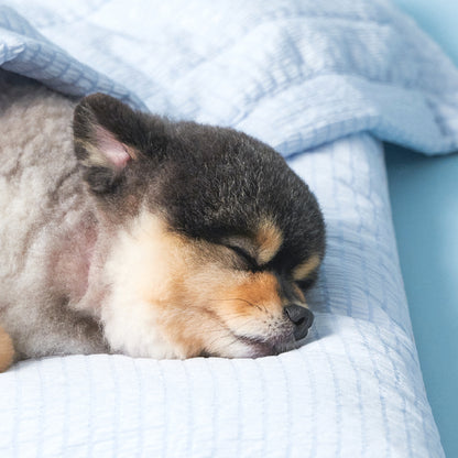 寵物涼感被墊 Sleeping blanket modal ver.