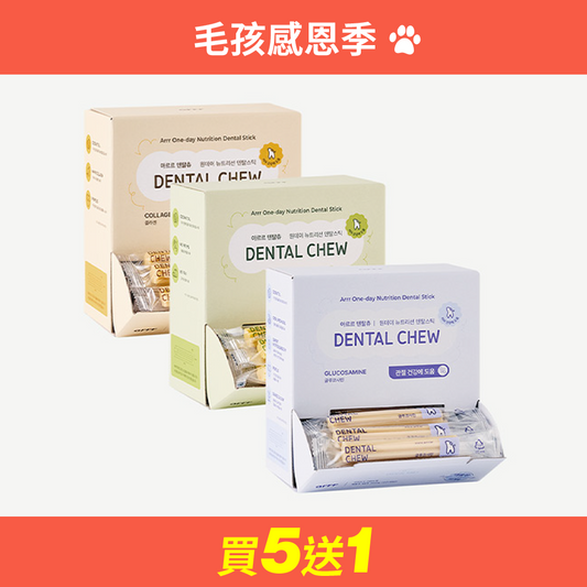 營養潔牙棒 大容量 升級版 Dental Chew Large Package(Renewal)