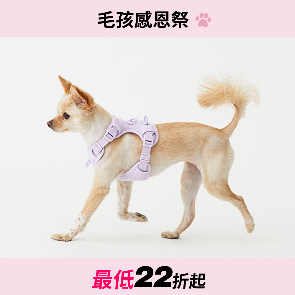 馬卡龍胸背帶/牽繩 Humming myfit harness/leash V2