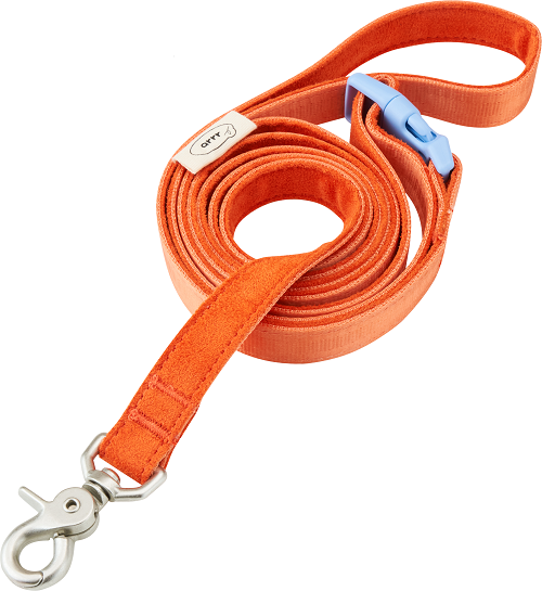 緩緩安全胸背帶/牽繩 Myfit Harness/Leash