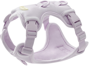 Humming myfit harness V2｜馬卡龍胸背帶 V2